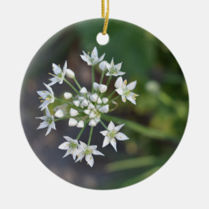 Ornement Rond En Céramique Fleurs blanches délicieuses fleurs florales Photo 