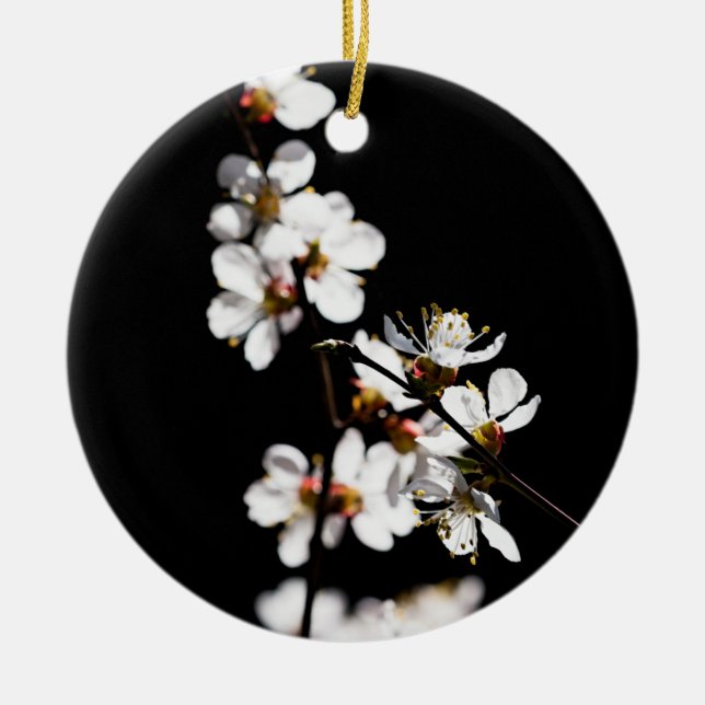 Ornement Rond En Céramique Fleurs Sakura (Devant)