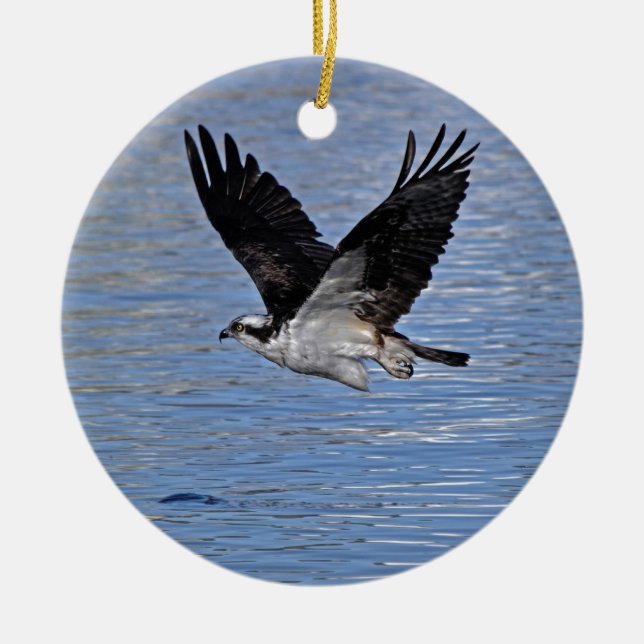 Ornement Rond En Céramique Flying Fish Eagle Osprey Nature Photographie (Devant)