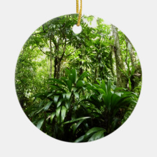 Ornement Rond En Céramique Forêt de pluie dominicaine I Nature verte tropical