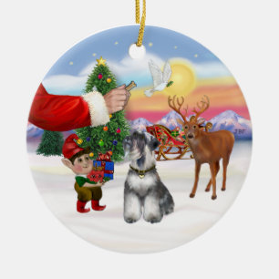 Ornement Rond En Céramique Friandise pour un Schnauzer (oreilles naturelles)