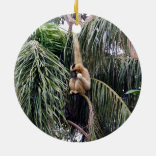 Ornement Rond En Céramique Gibbon Monkey Juste Accroché Autour,