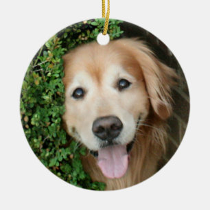 Ornement Rond En Céramique Golden retriever derrière un sourire