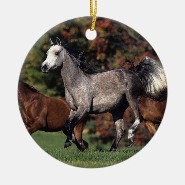 Ornement Rond En Céramique Groupe de fonctionnement arabe de chevaux (Devant)