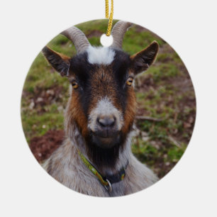 Ornement Rond En Céramique Haut étroit de chèvre
