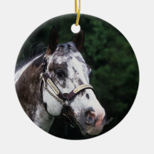 Ornement Rond En Céramique Headshot 2 de cheval d'Appaloosa