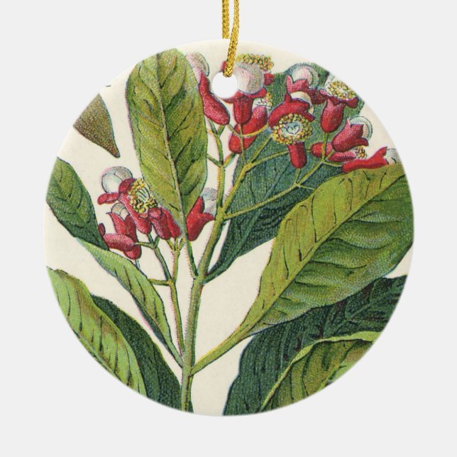 Ornement Rond En Céramique Herbes Épices Alimentaires Anciens, Clous de Girof (Devant)