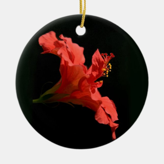 Ornement Rond En Céramique Hibiscus (Devant)