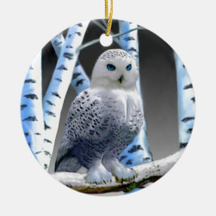 Ornement Rond En Céramique Hibou aux yeux bleus de neige