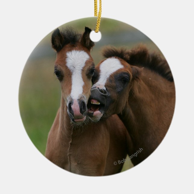 Ornement Rond En Céramique Jeu de poulains (Devant)