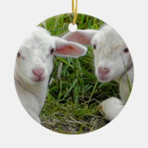 Ornement Rond En Céramique Jumeau Agneau Bébé Animal Pensée Pour Vous