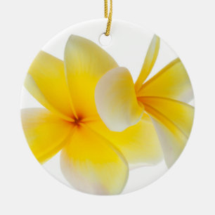 Ornement Rond En Céramique Le Plumeria fleurit le Frangipani jaune blanc