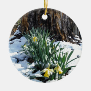 Ornement Rond En Céramique Les jonquilles jaunes dans la neige