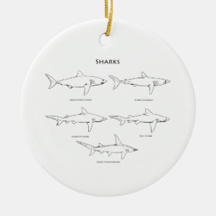 Ornement Rond En Céramique Logo d'espèces de requins