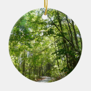 Ornement Rond En Céramique Lumière du soleil sur le chemin en bois au Centenn