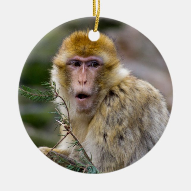 Ornement Rond En Céramique Macaca sylvanus (Devant)