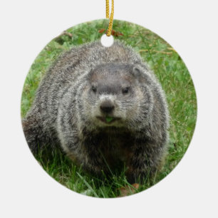 Ornement Rond En Céramique Manger des marmottes