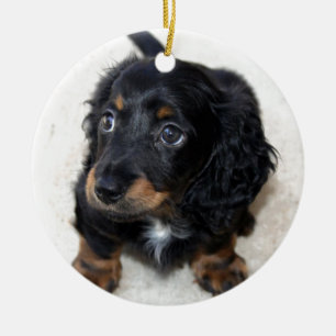 Ornement Rond En Céramique Miniature Long Haired Dashund