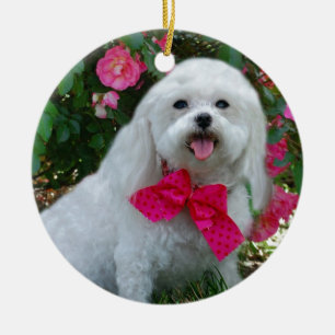Ornement Rond En Céramique Mme Dolly MaltiPoo