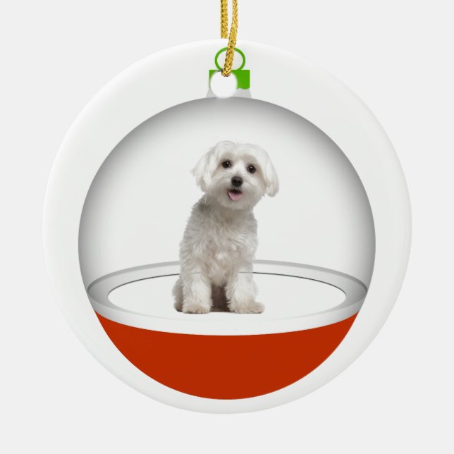 Ornement Rond En Céramique Mon meilleur ami - SRF (Devant)