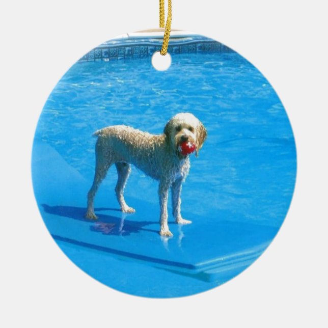Ornement Rond En Céramique Natation blanche de chien de Cockapoo sur un (Devant)