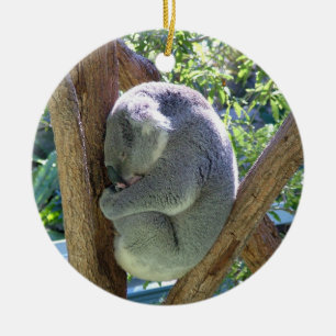 Ornement Rond En Céramique Ours de koala