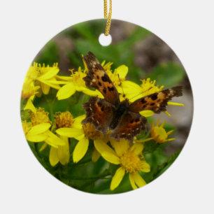 Ornement Rond En Céramique Papillon Comma dans le parc national des Glaciers