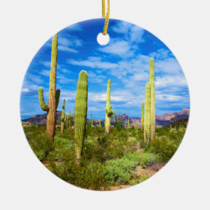Ornement Rond En Céramique Paysage de cactus du désert, Arizona