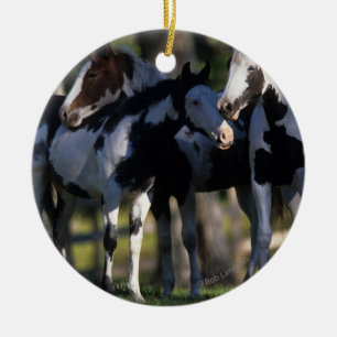 Ornement Rond En Céramique Peignez les chevaux