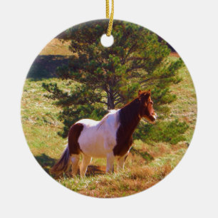 Ornement Rond En Céramique Peint Poney par le pin