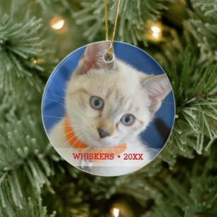 Ornement Rond En Céramique Photo et nom de chat personnalisé de animal de co