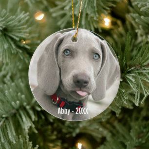 Ornement Rond En Céramique Photo et nom du chien Weimaraner personnalisé