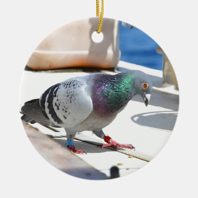 Ornement Rond En Céramique Pigeon voyageur sur un yacht (Devant)
