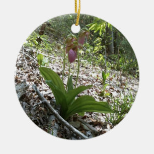 Ornement Rond En Céramique Pink lady slipper Orchid