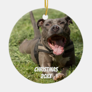 Ornement Rond En Céramique Pitbull Brown Editable dans l'herbe