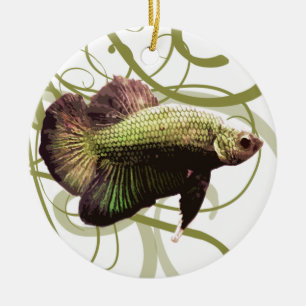 Ornement Rond En Céramique Poissons de combat siamois de Betta de demi-lune