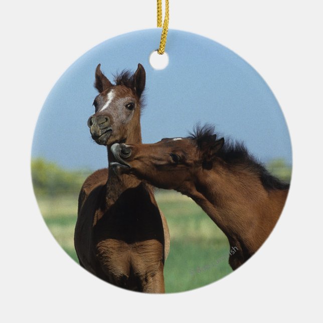 Ornement Rond En Céramique Poulains jouant 2 (Devant)