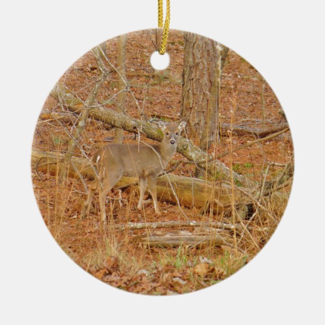 Ornement Rond En Céramique Premier hiver du Cerf de Bébé (Devant)