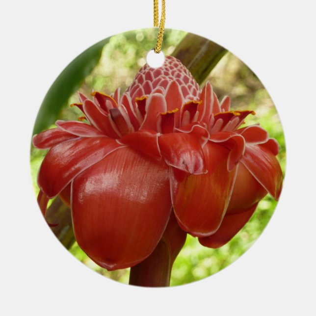 Ornement Rond En Céramique Red Torch Ginger Tropical Flower Photographie (Devant)