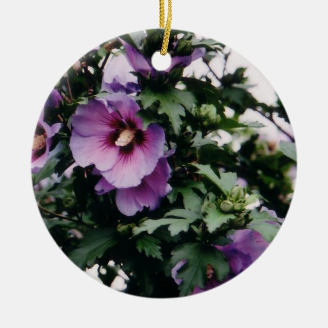 Ornement Rond En Céramique Rose de Sharon Ornament (Devant)