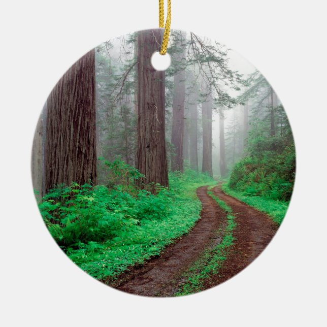 Ornement Rond En Céramique Séquoia de forêt (Devant)