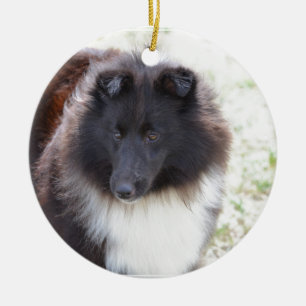 Ornement Rond En Céramique Sheltie noir et blanc