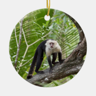 Ornement Rond En Céramique Singe dans la jungle