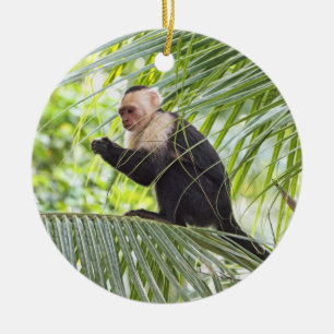 Ornement Rond En Céramique Singe mignon sur un palmier
