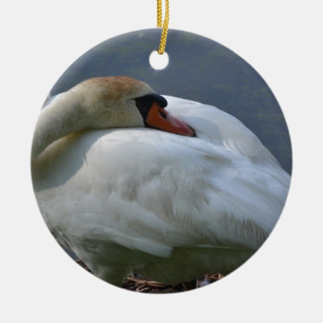 Ornement Rond En Céramique Swan (Devant)