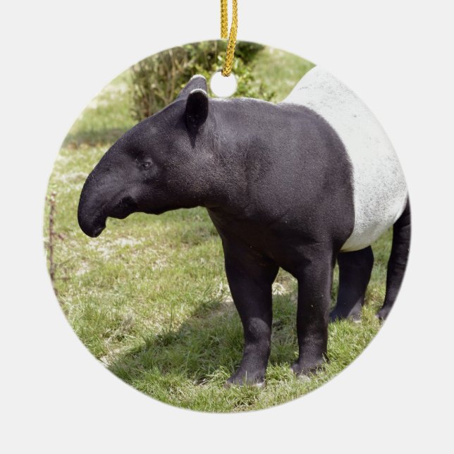 Ornement Rond En Céramique Tapir malais sur herbe (Devant)