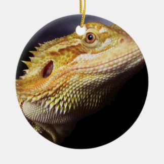 Ornement Rond En Céramique Tête barbue 2 de dragon