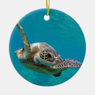 Ornement Rond En Céramique Tortue de mer verte d'Hawaï - Honu