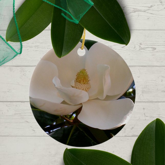 Ornement Rond En Céramique Véritable floraison de Magnolia du Sud (Créateur téléchargé)