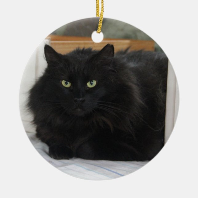 Ornement Rond En Céramique Vesse-de-loup (Devant)